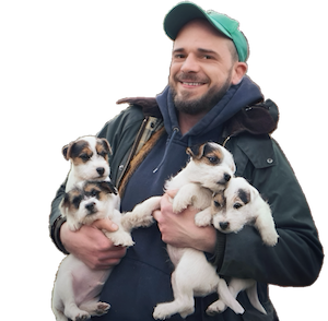 Unsere aktuellen Welpen - erfahren Sie mehr ▶︎